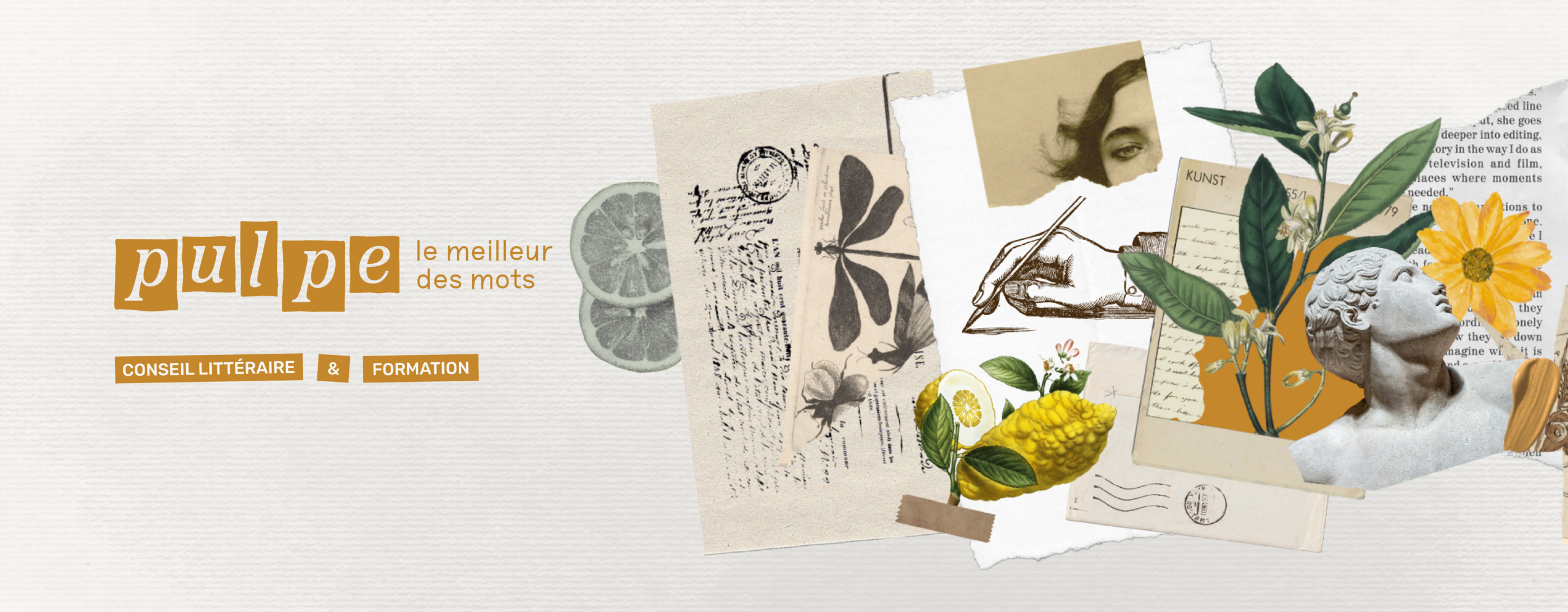 Studio A5_Pulpe_Banniere