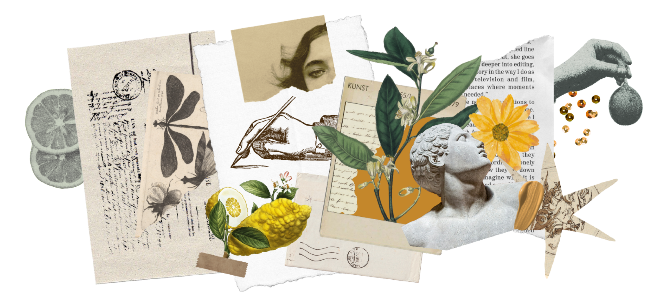 Studio A5_Pulpe_collage